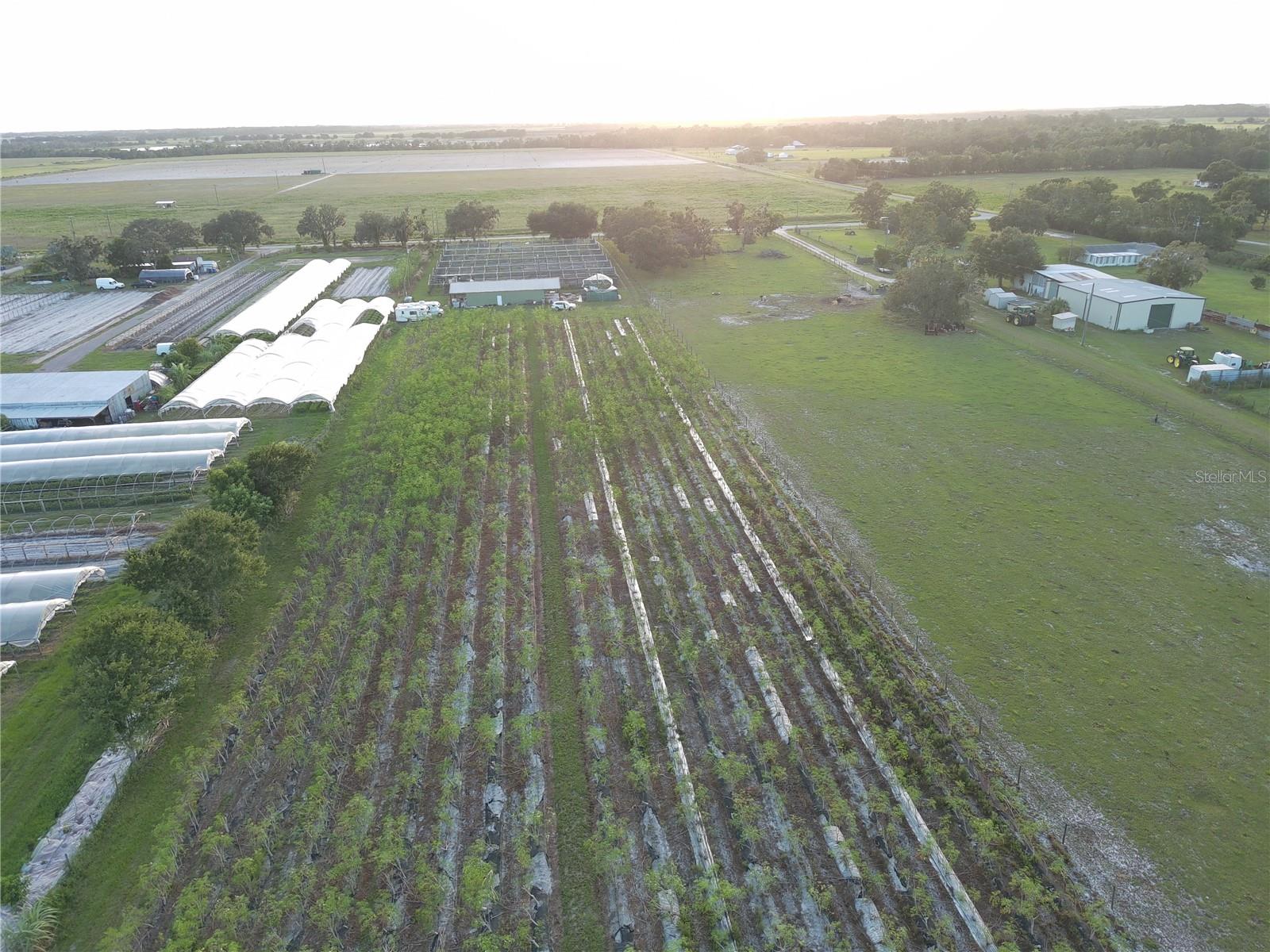 16070 CARLTON LAKE RD, WIMAUMA, FL, 33598