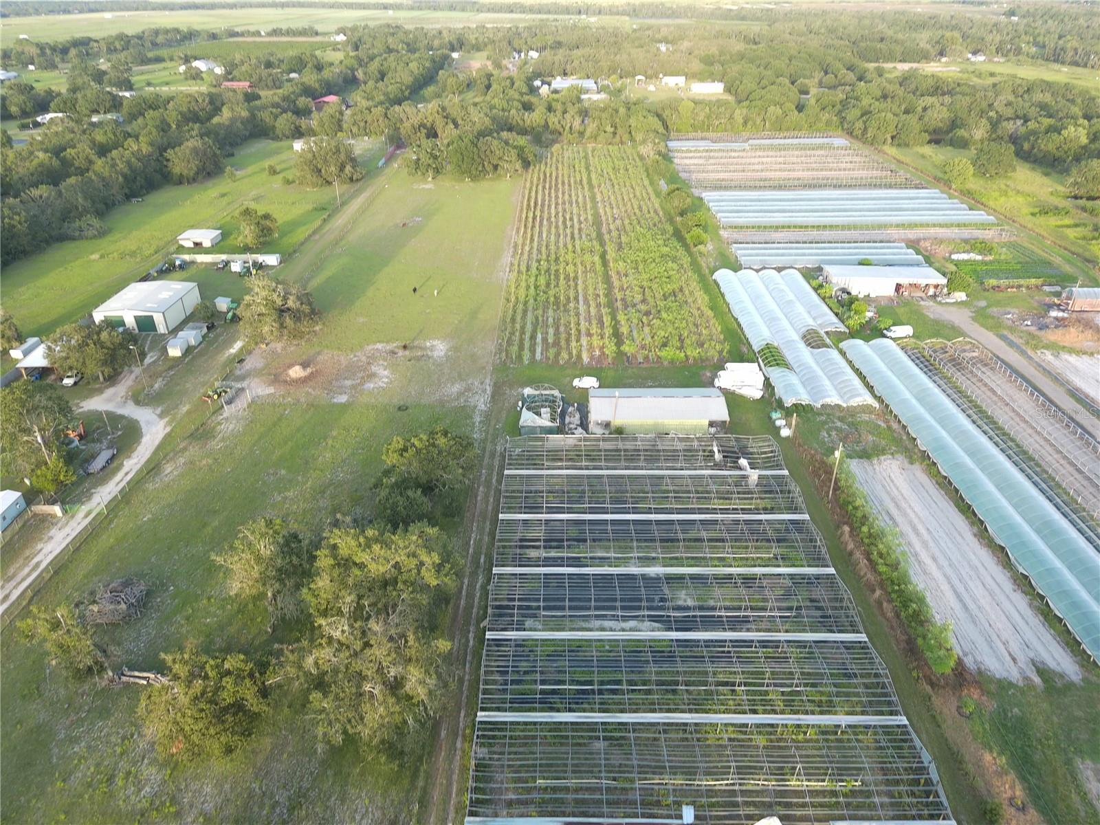 16070 CARLTON LAKE RD, WIMAUMA, FL, 33598