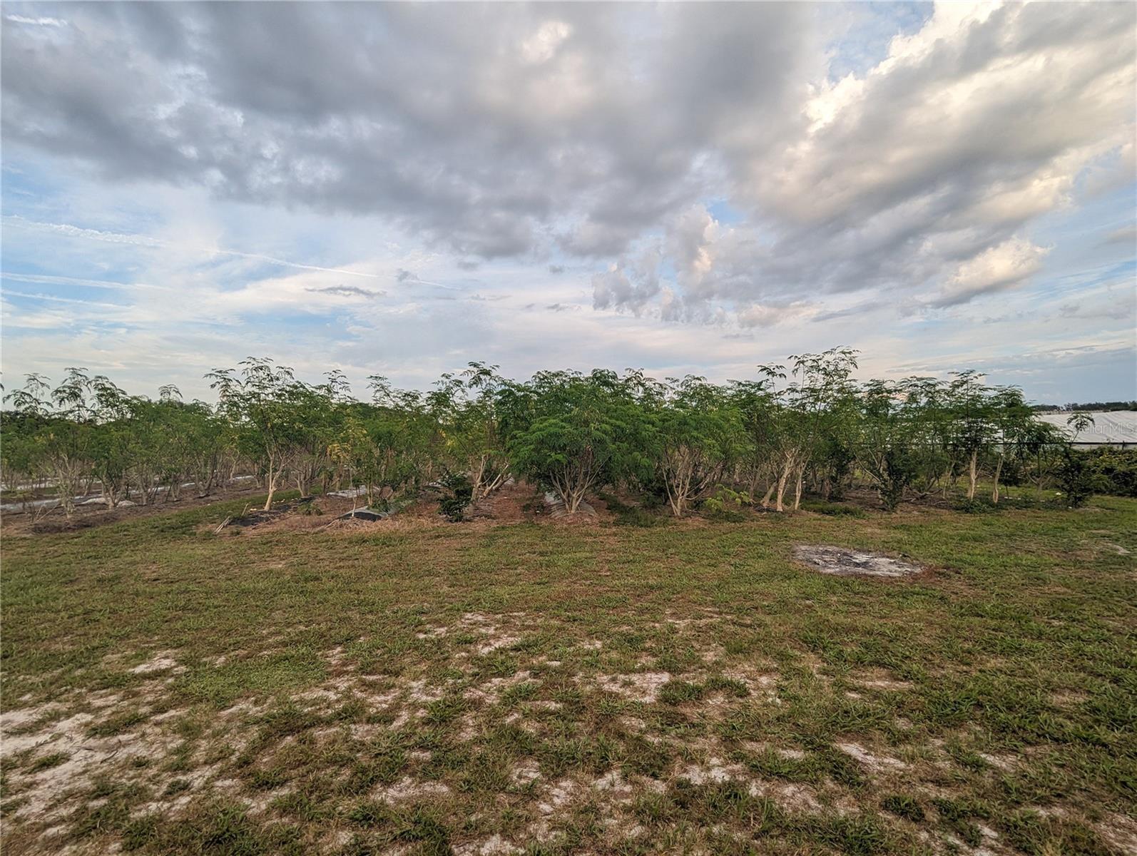 16070 CARLTON LAKE RD, WIMAUMA, FL, 33598