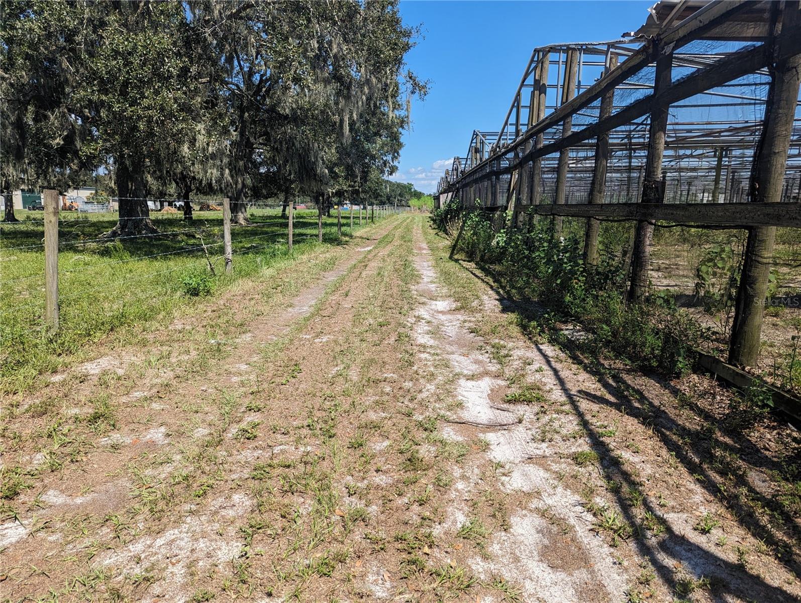 16070 CARLTON LAKE RD, WIMAUMA, FL, 33598