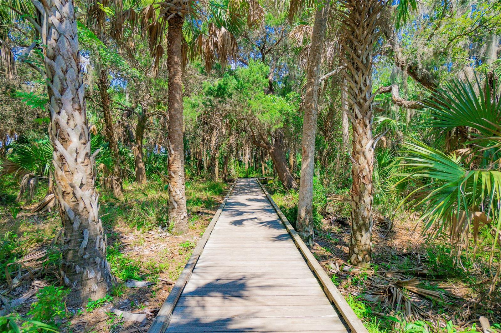 464 NE 2ND ST, CRYSTAL RIVER, FL, 34429