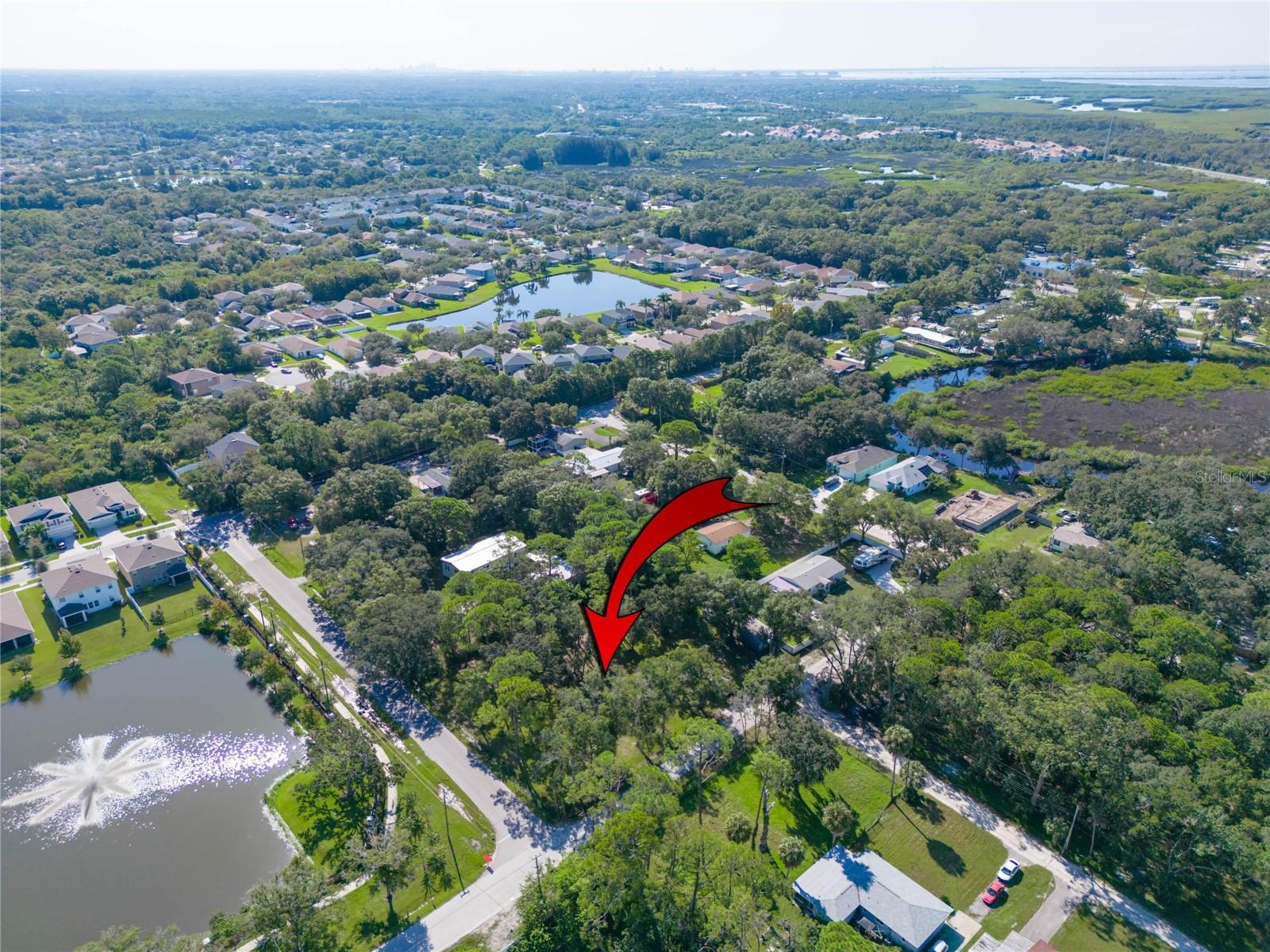 8701 HART LN, TAMPA, FL, 33635