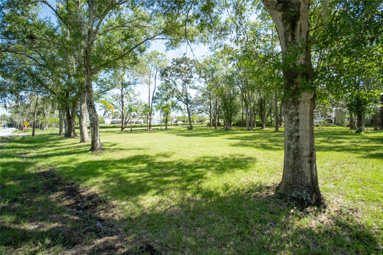8701 HART LN, TAMPA, FL, 33635