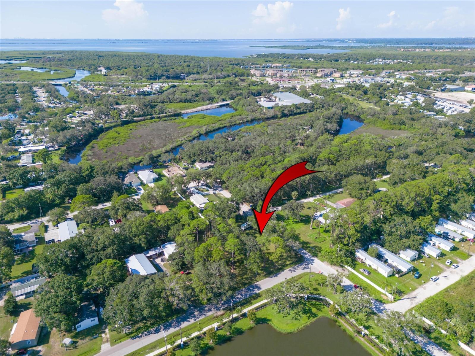 8701 HART LN, TAMPA, FL, 33635