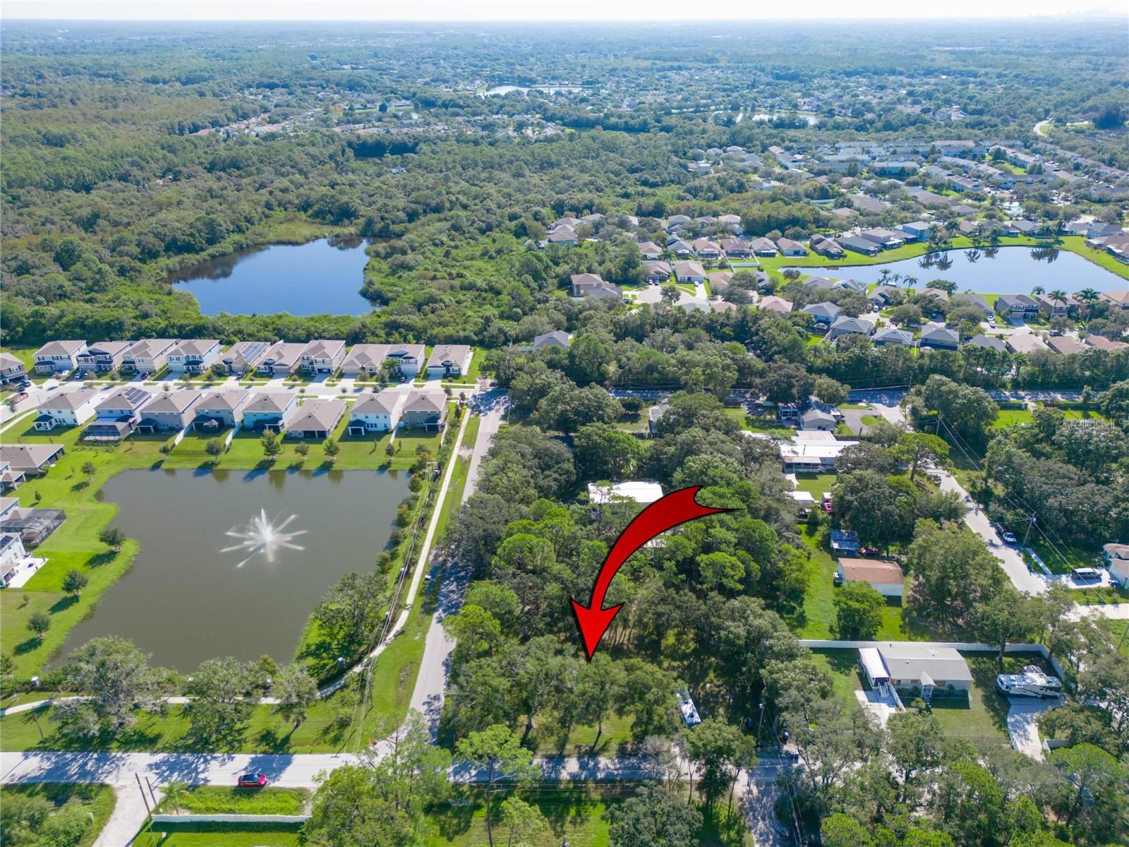 8701 HART LN, TAMPA, FL, 33635