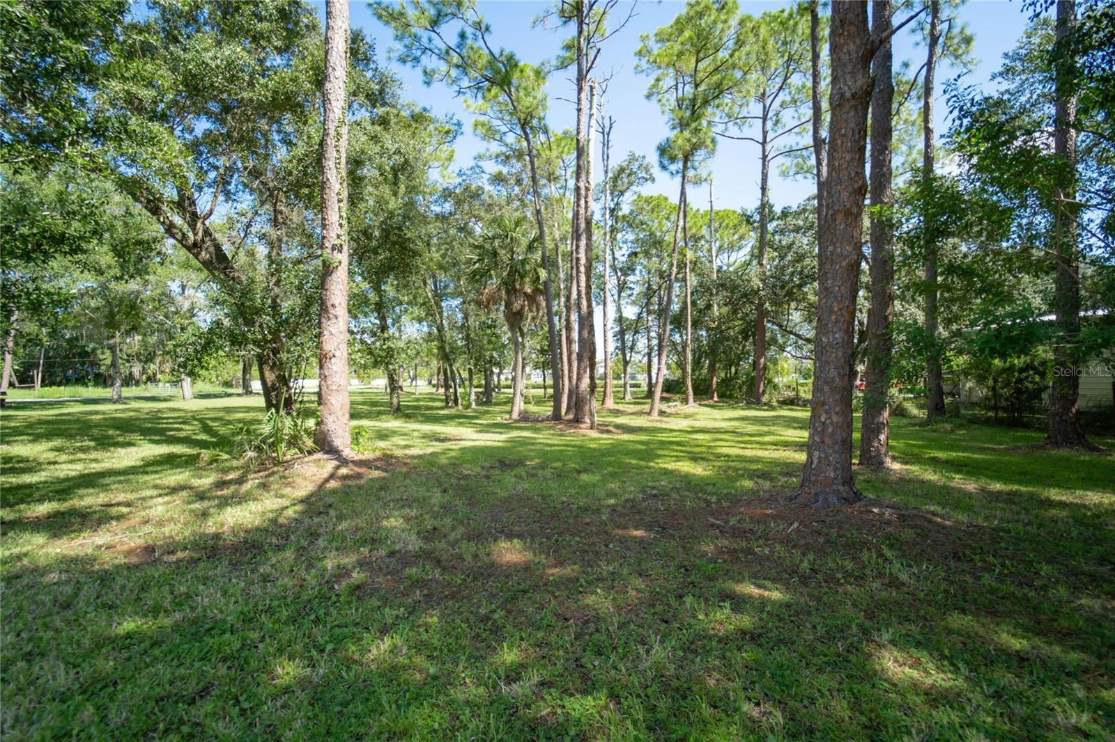 8701 HART LN, TAMPA, FL, 33635