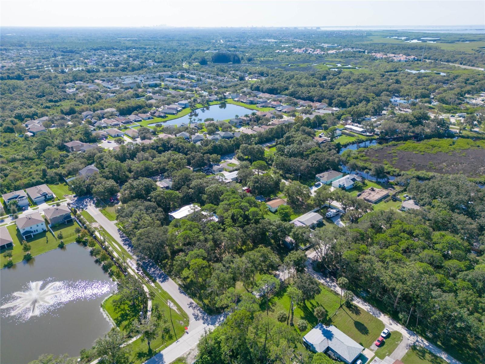 8701 HART LN, TAMPA, FL, 33635