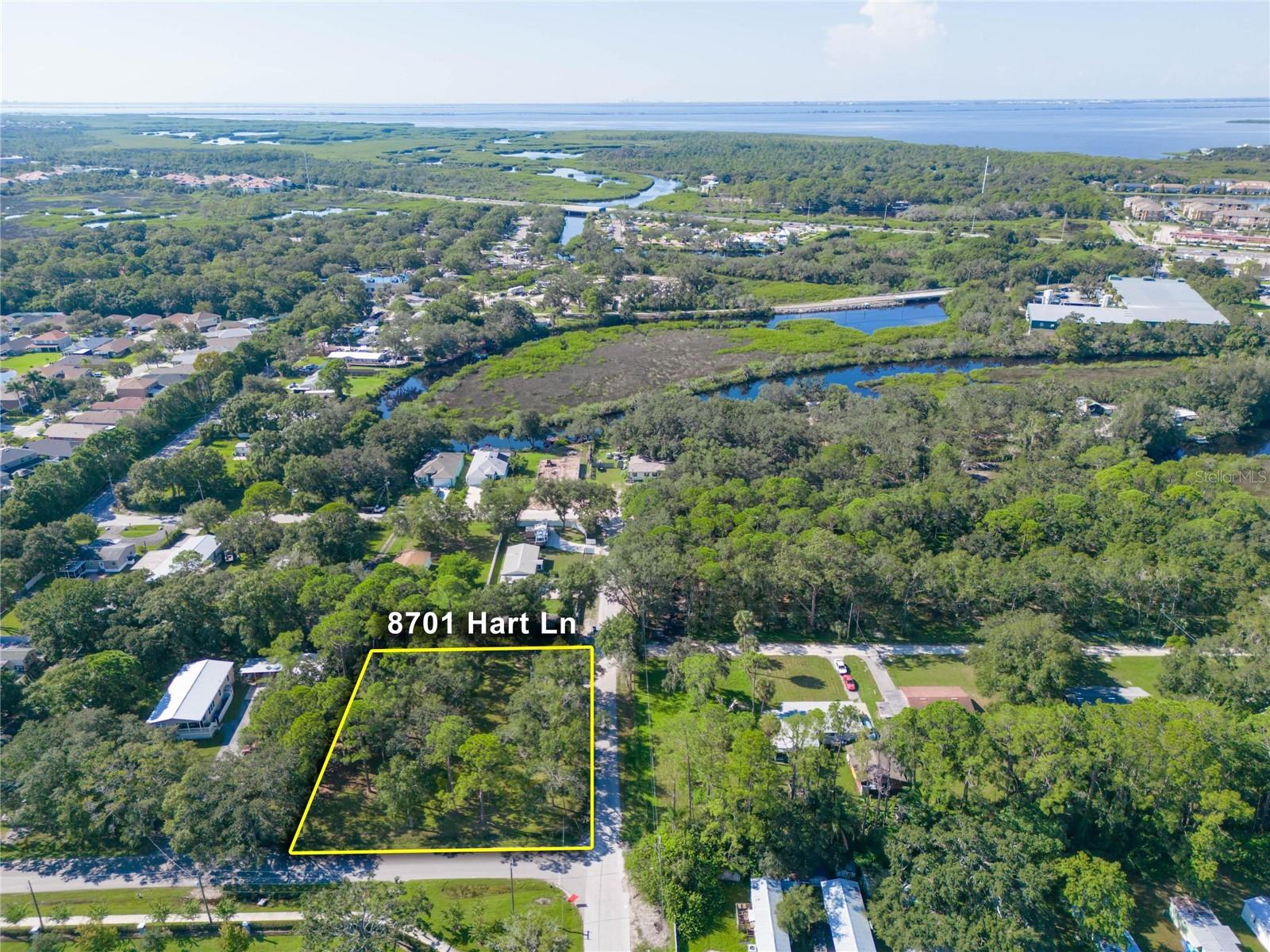 8701 HART LN, TAMPA, FL, 33635