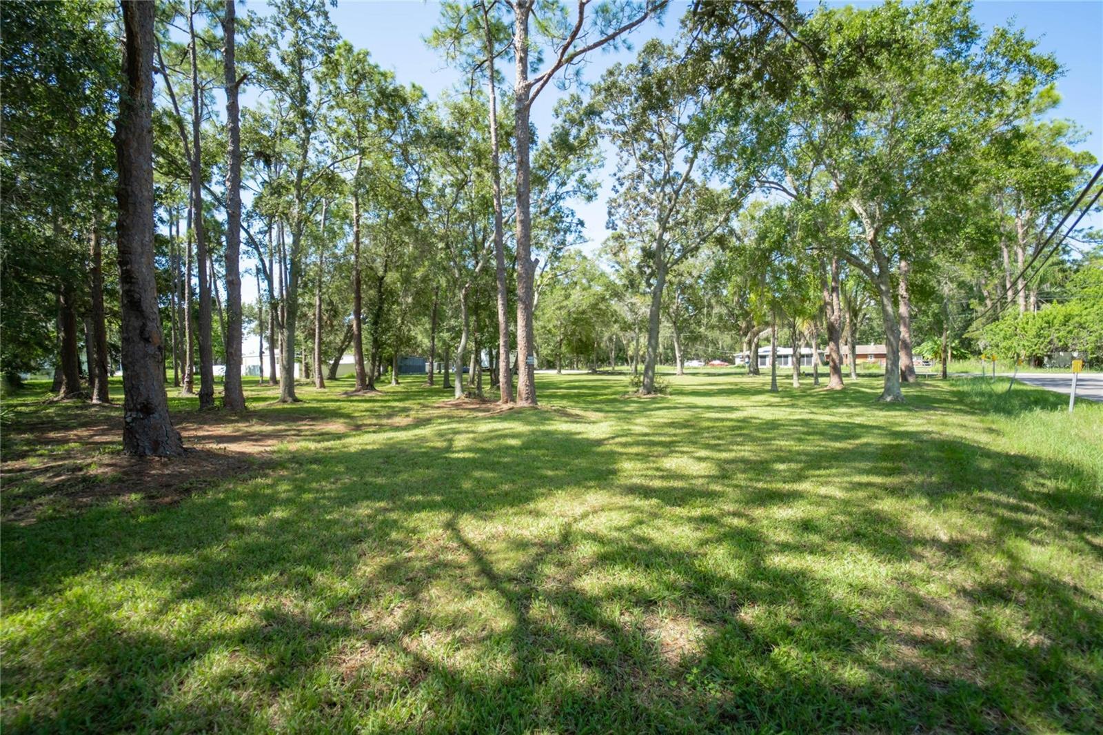 8701 HART LN, TAMPA, FL, 33635