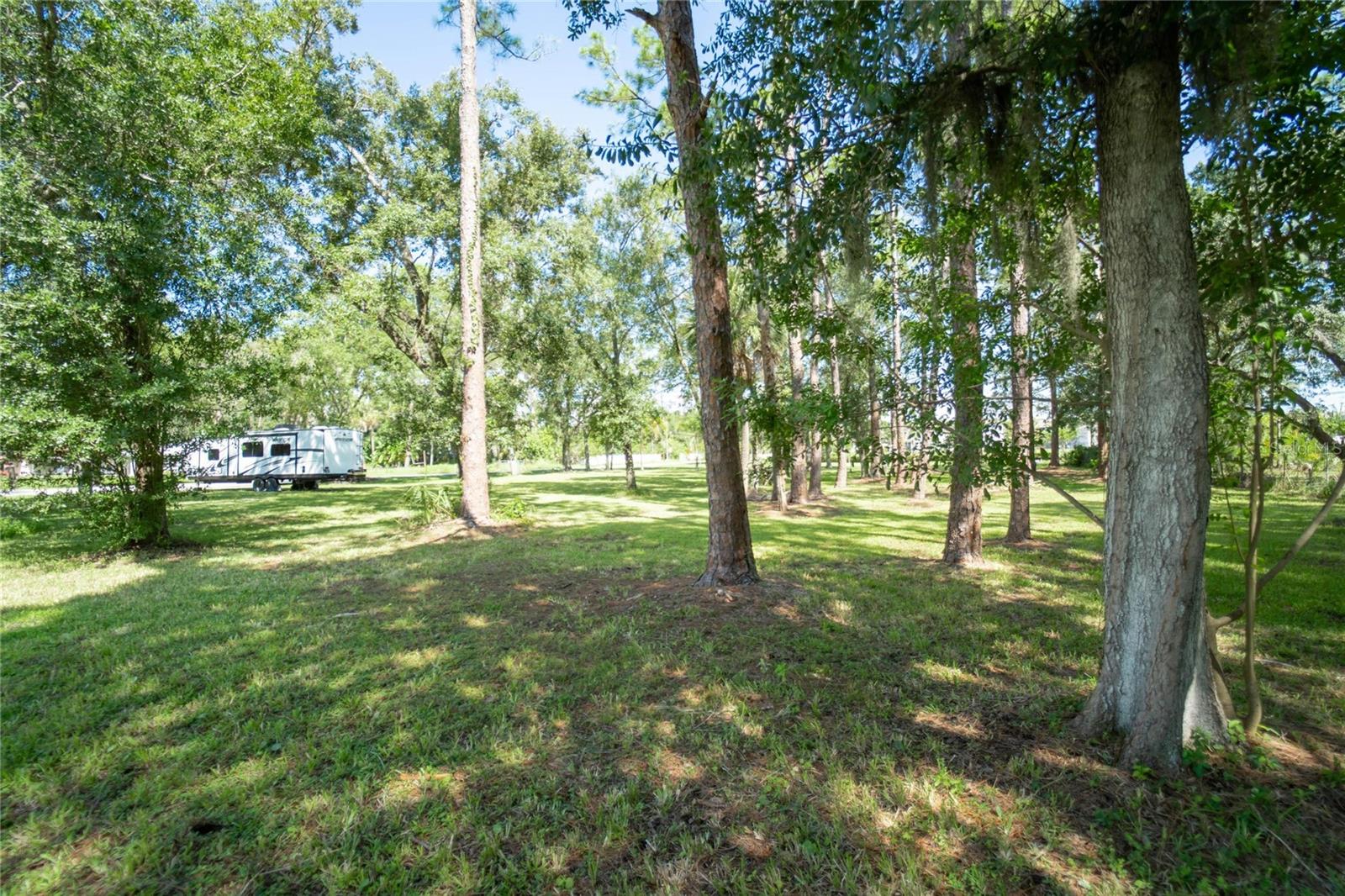 8701 HART LN, TAMPA, FL, 33635