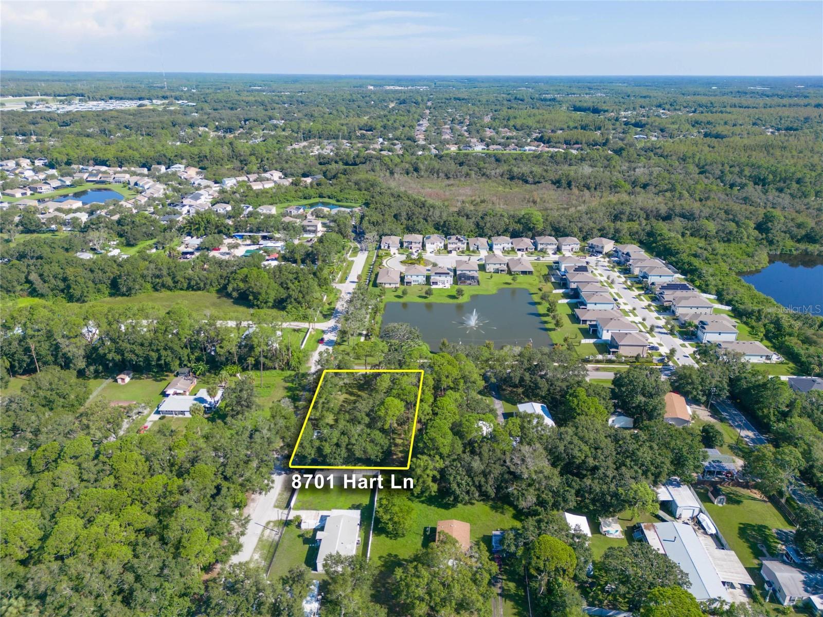8701 HART LN, TAMPA, FL, 33635
