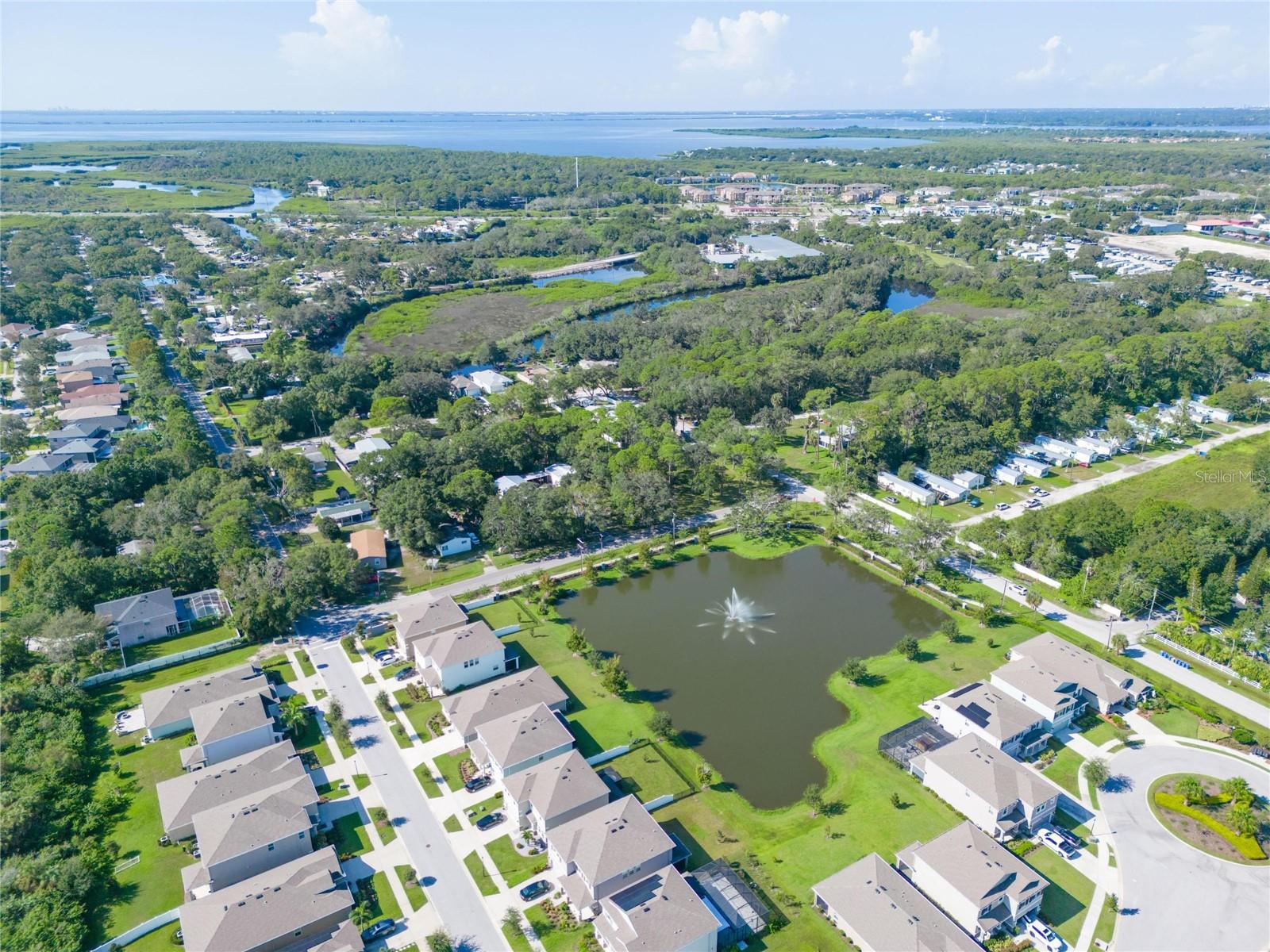 8701 HART LN, TAMPA, FL, 33635