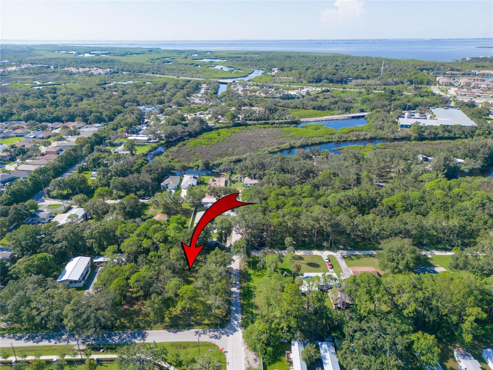 8701 HART LN, TAMPA, FL, 33635