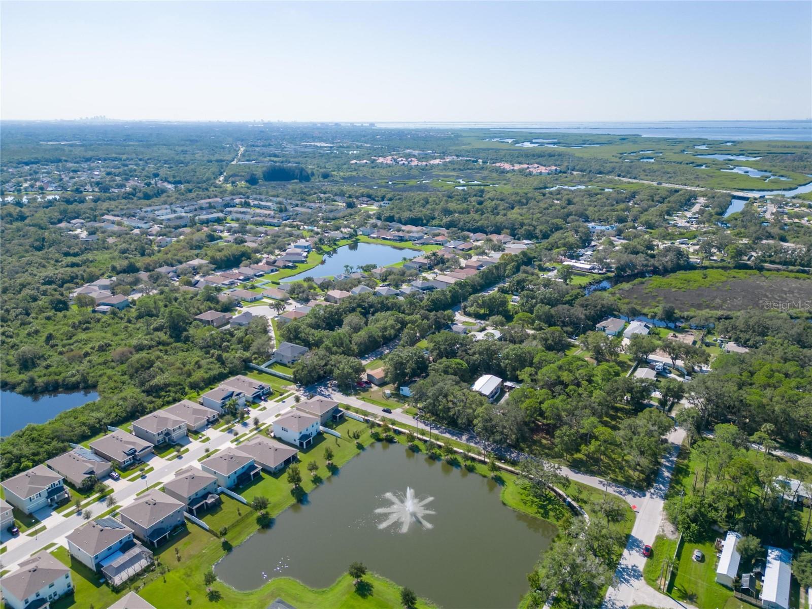 8701 HART LN, TAMPA, FL, 33635