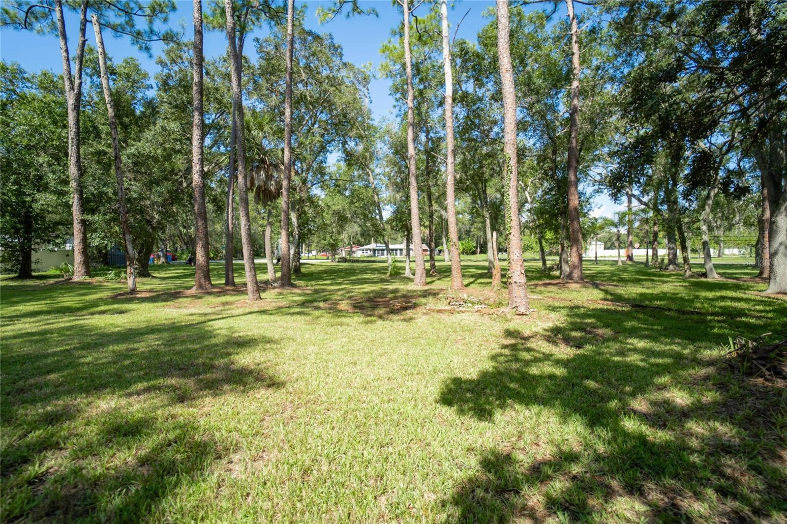 8701 HART LN, TAMPA, FL, 33635