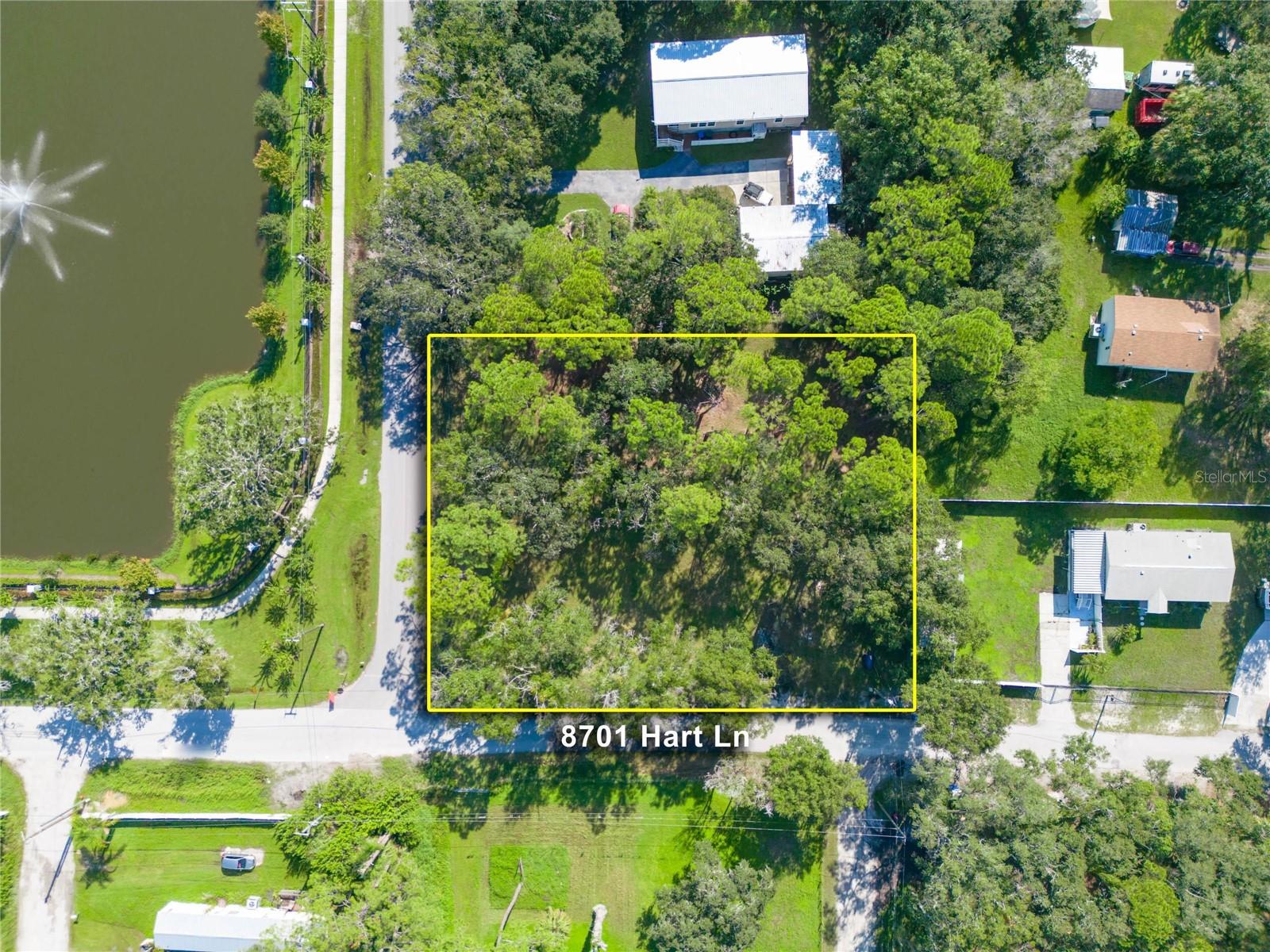 8701 HART LN, TAMPA, FL, 33635