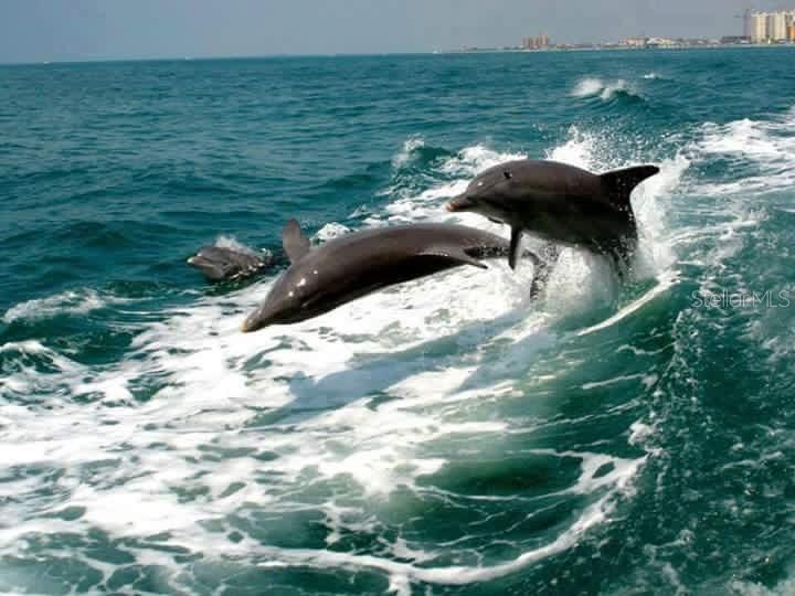 424 ALBEE RD W #1, NOKOMIS, FL, 34275