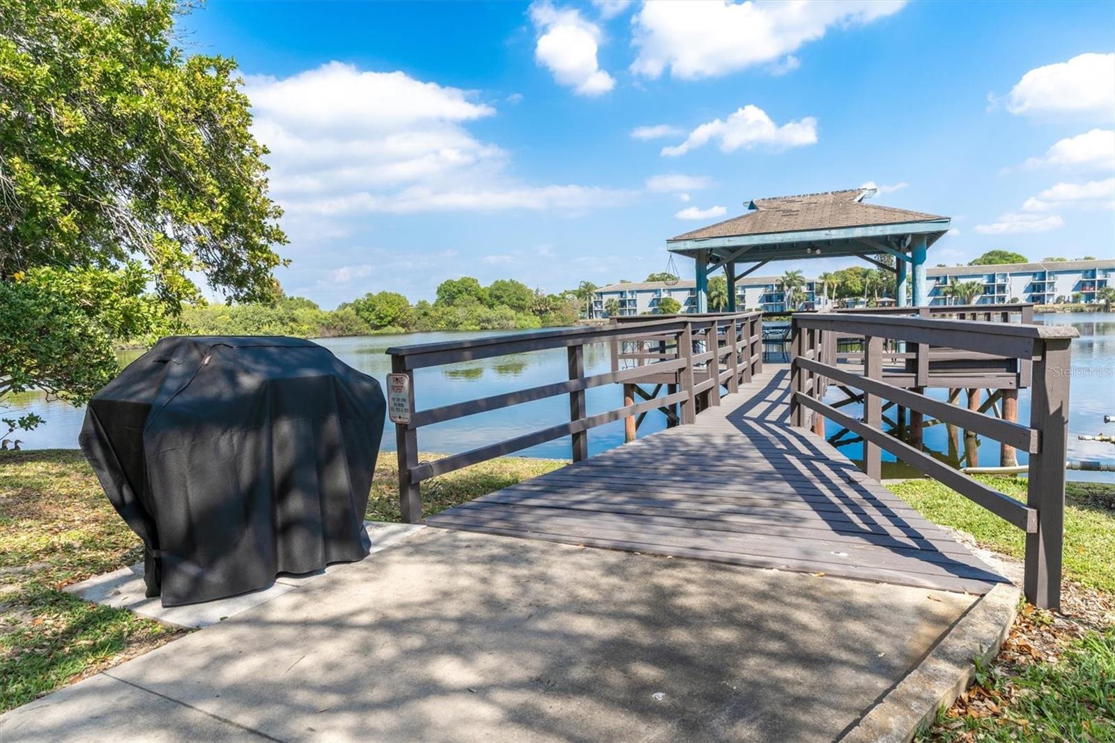 11485 OAKHURST RD #221, LARGO, FL, 33774