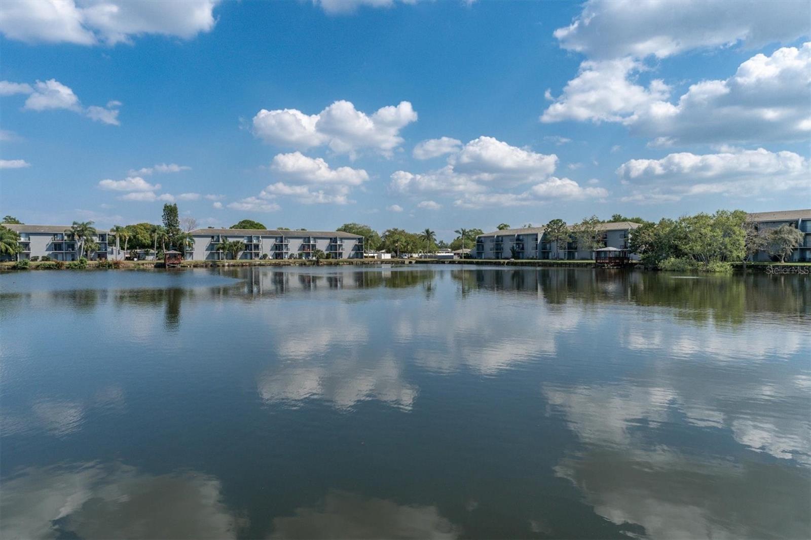 11485 OAKHURST RD #221, LARGO, FL, 33774