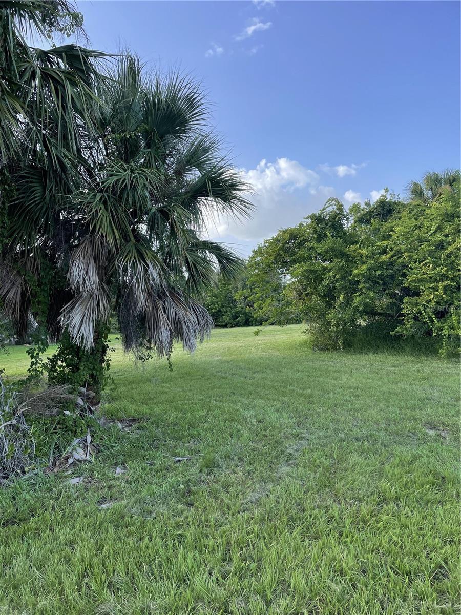 160 SPYGLASS ALY, PLACIDA, FL, 33946