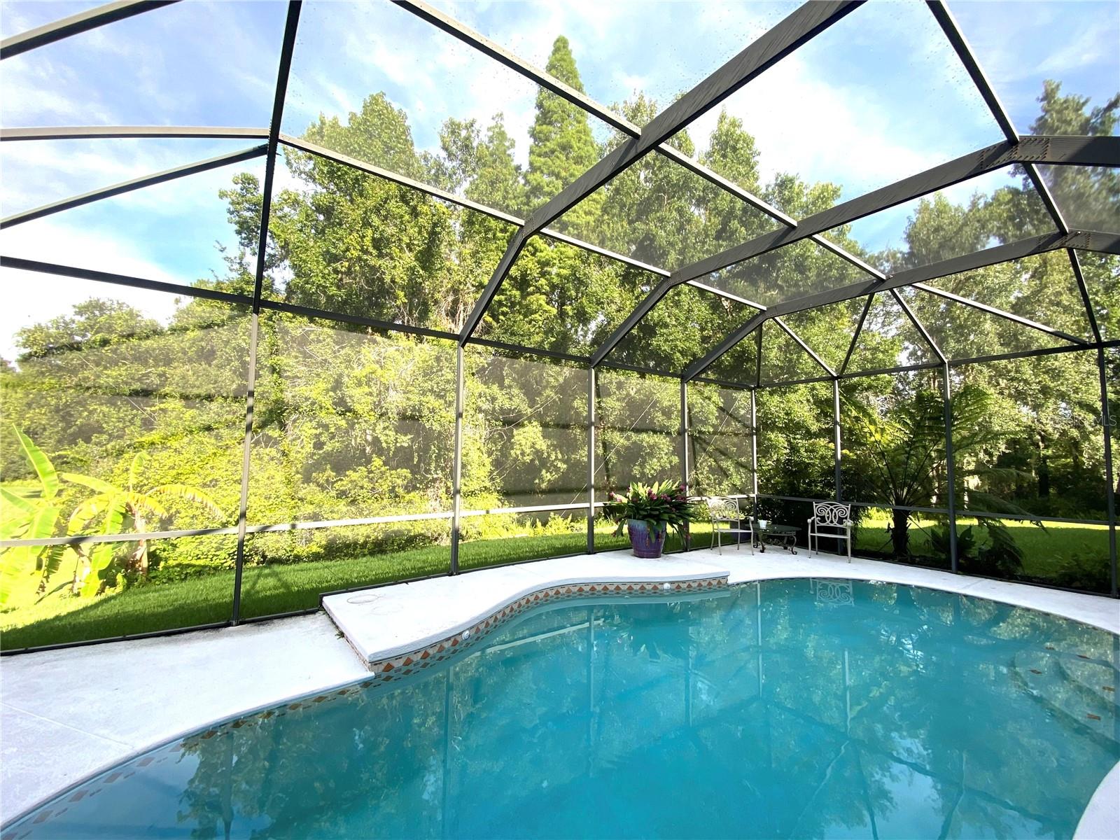 View of nature preserve from pool