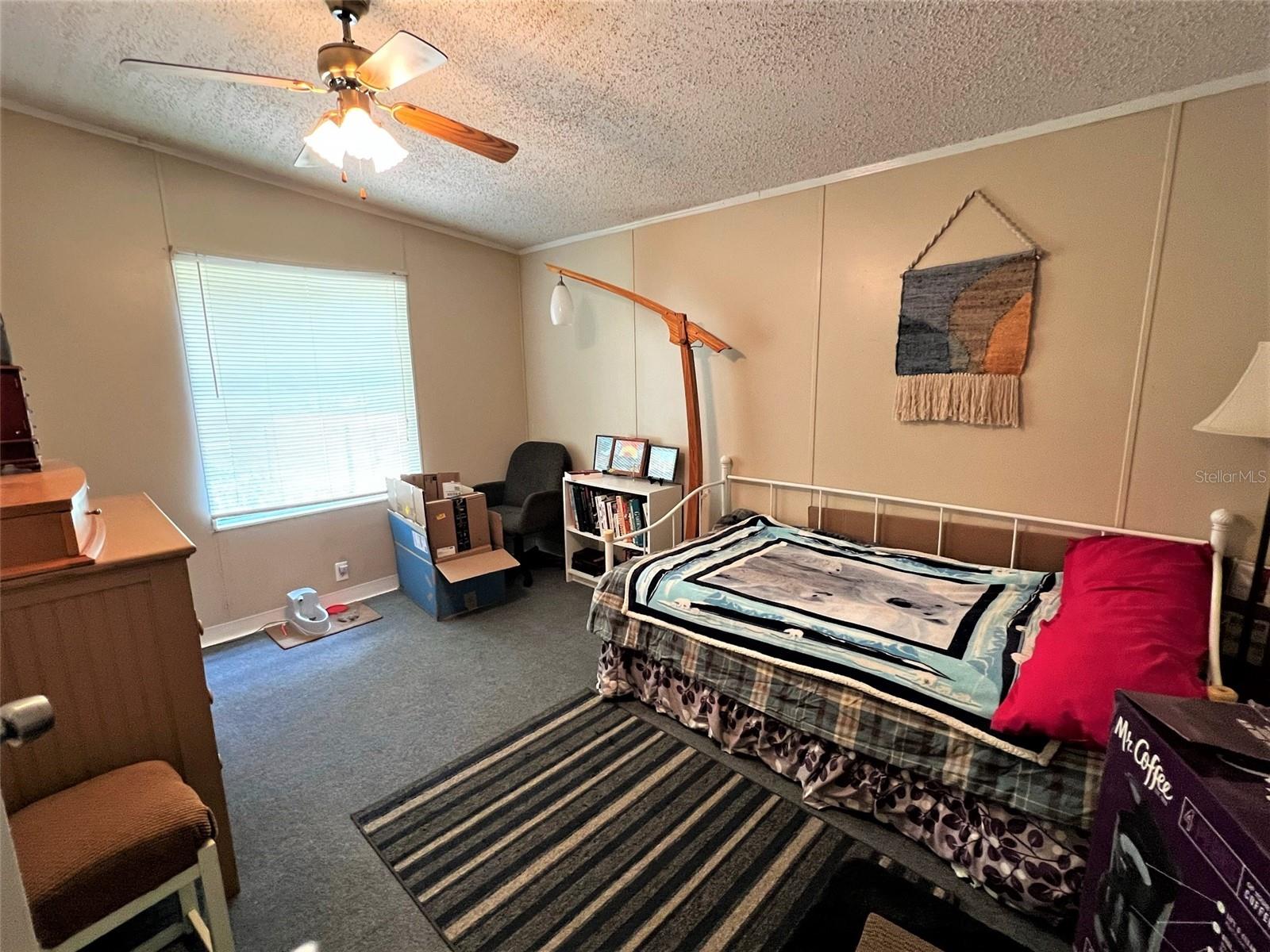 7412 SKY DR, WESLEY CHAPEL, FL, 33545