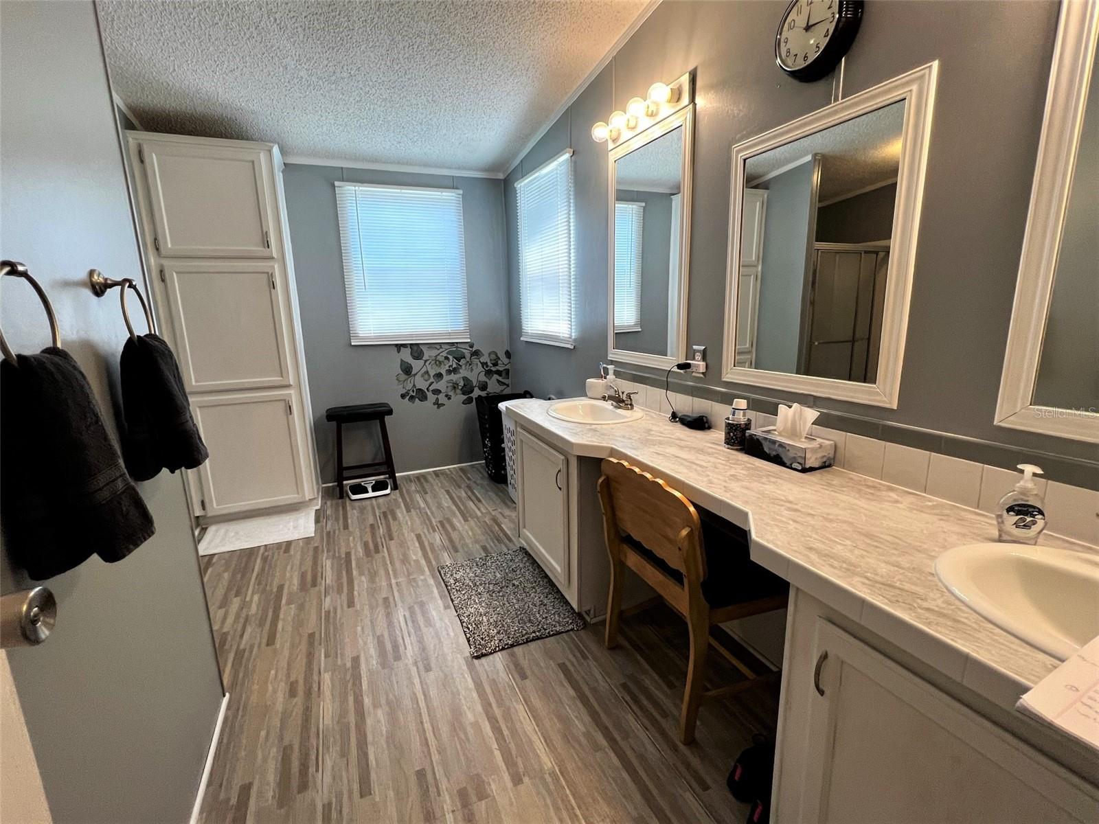 7412 SKY DR, WESLEY CHAPEL, FL, 33545