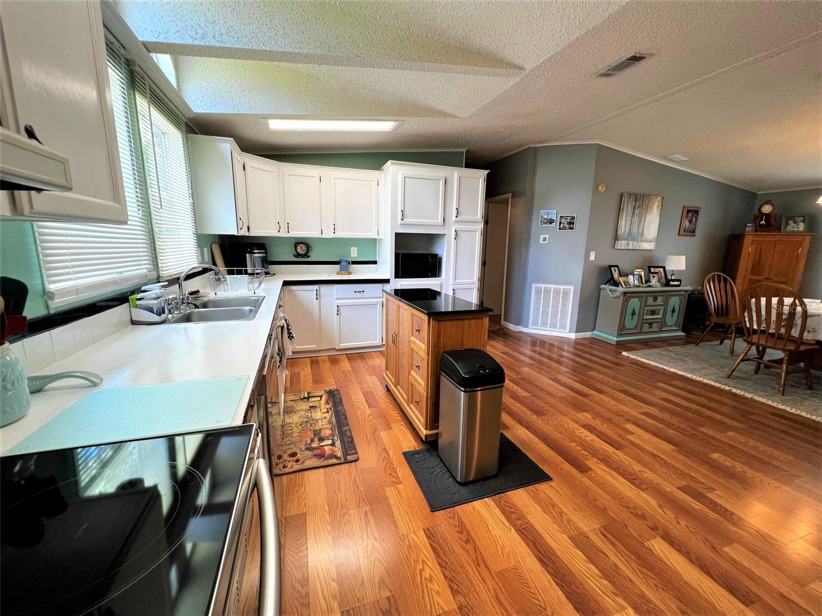 7412 SKY DR, WESLEY CHAPEL, FL, 33545