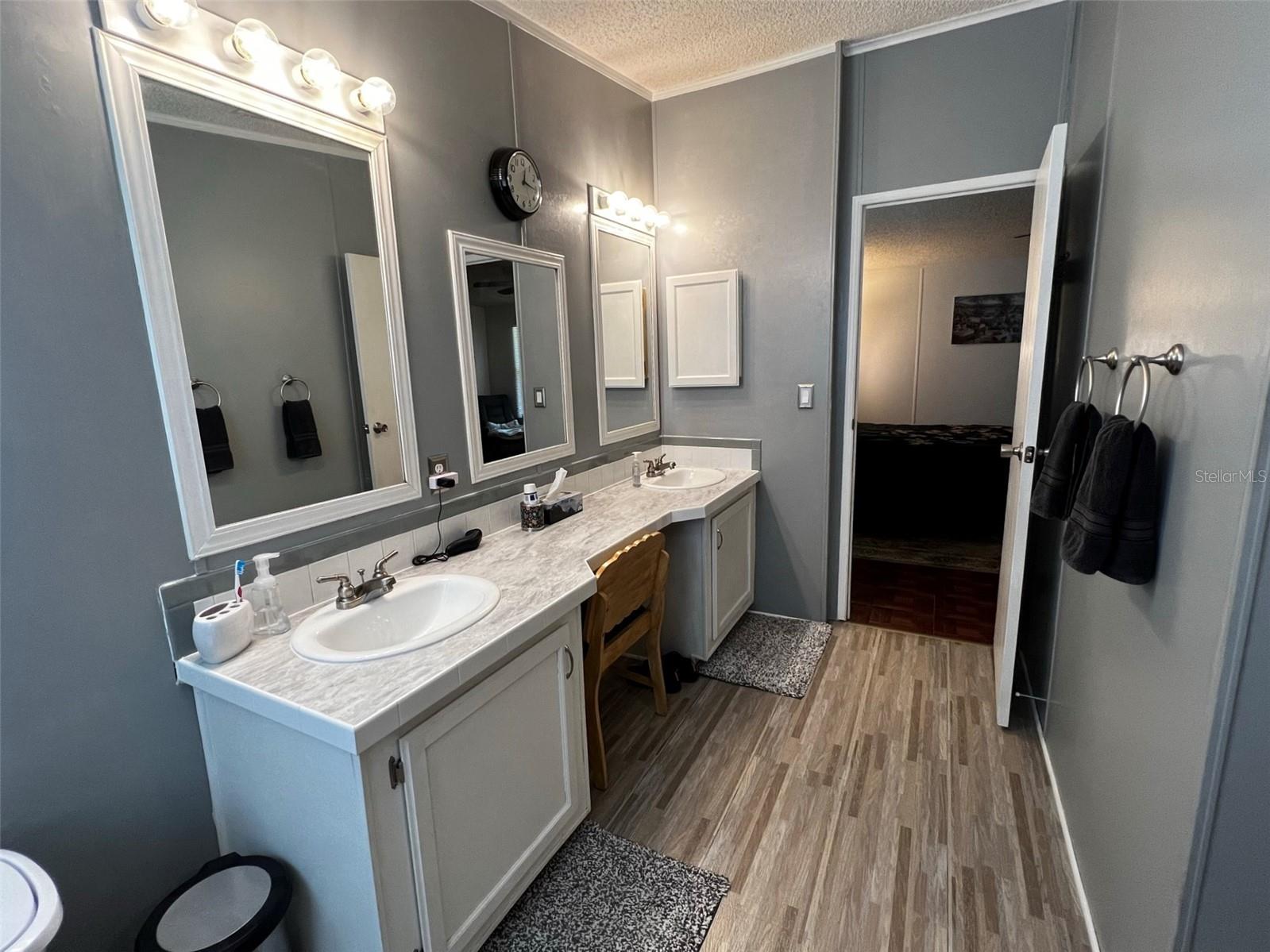 7412 SKY DR, WESLEY CHAPEL, FL, 33545
