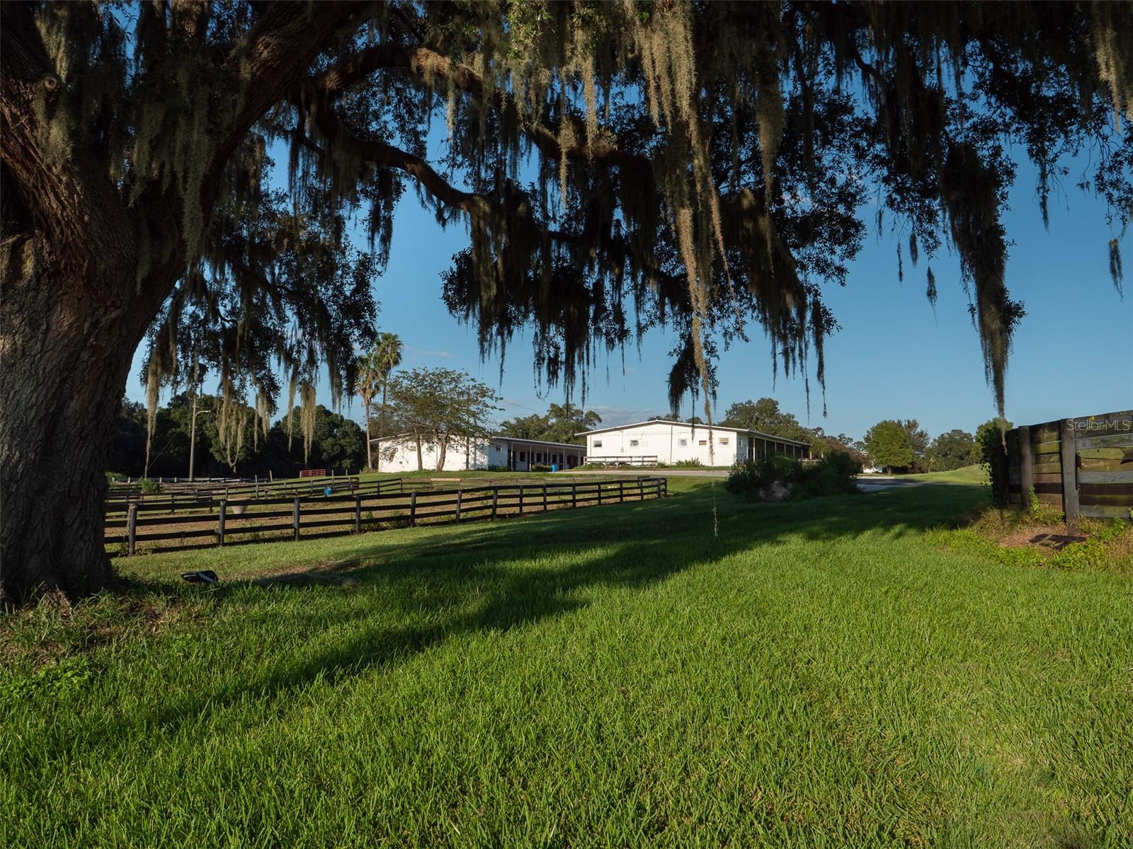 11196 NW HIGHWAY 464B, OCALA, FL, 34482