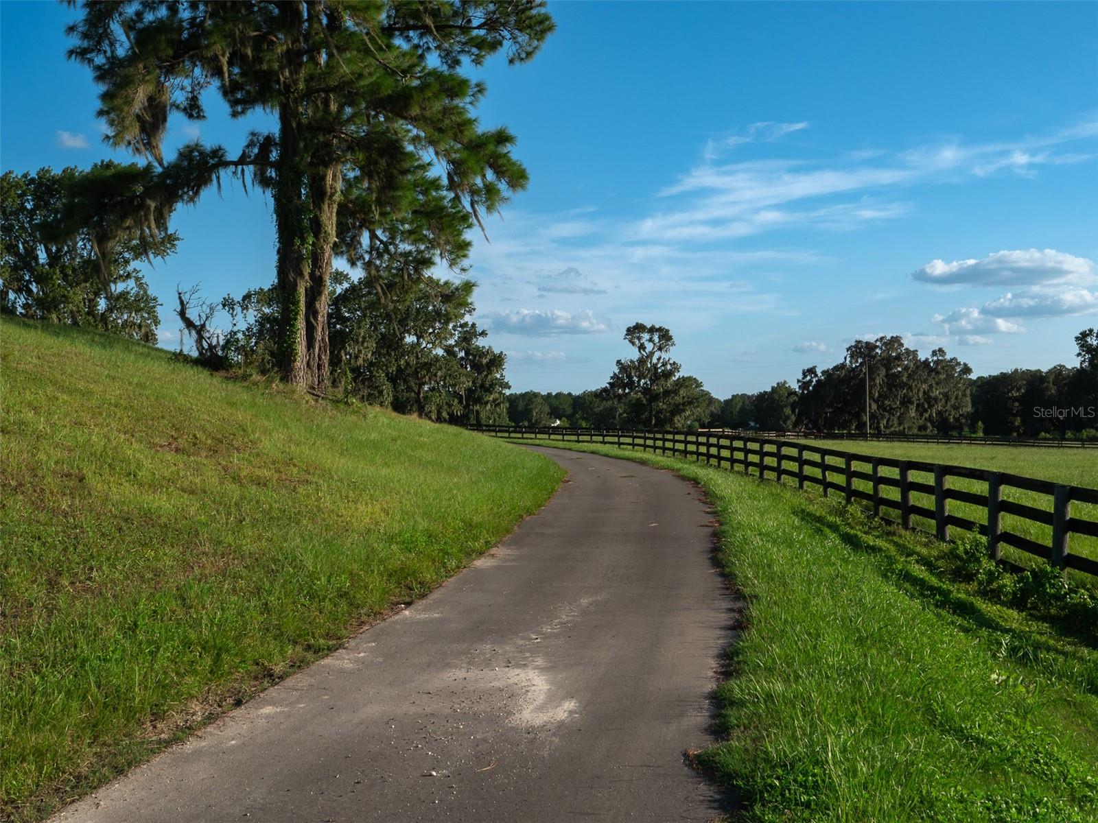 11196 NW HIGHWAY 464B, OCALA, FL, 34482