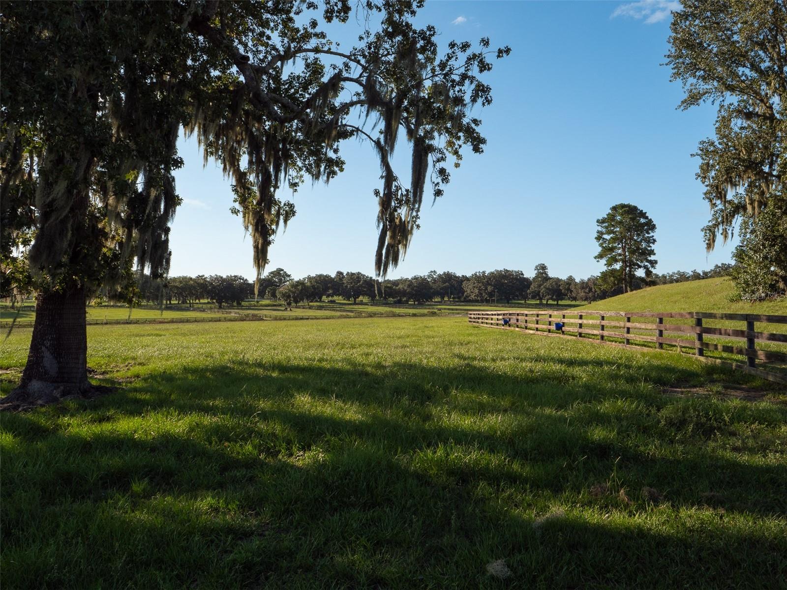 11196 NW HIGHWAY 464B, OCALA, FL, 34482
