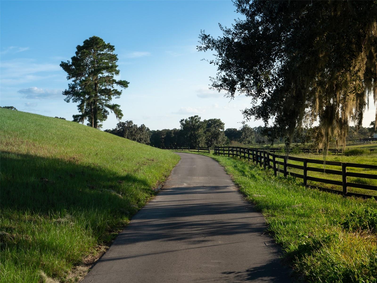 11196 NW HIGHWAY 464B, OCALA, FL, 34482
