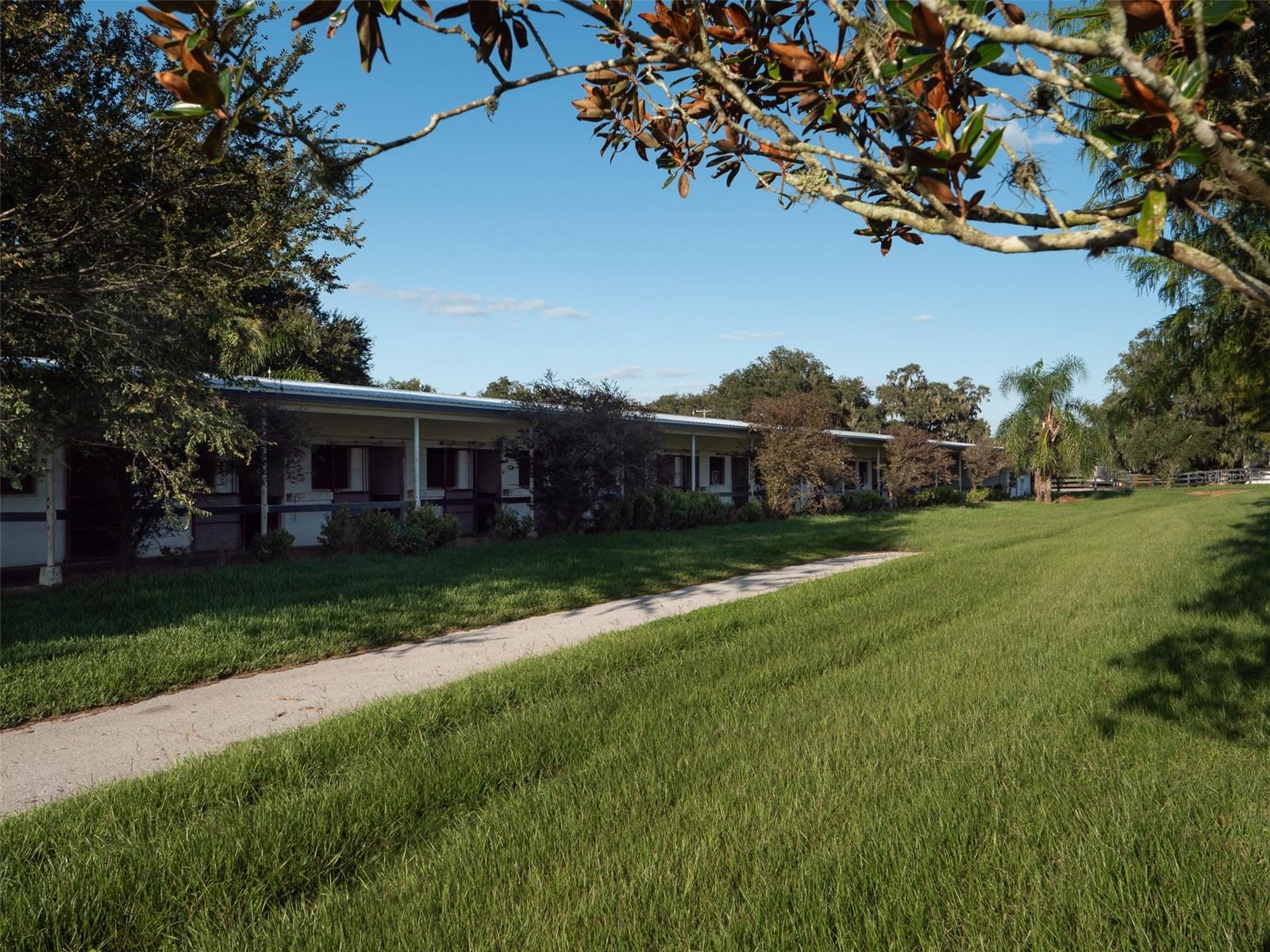 11196 NW HIGHWAY 464B, OCALA, FL, 34482