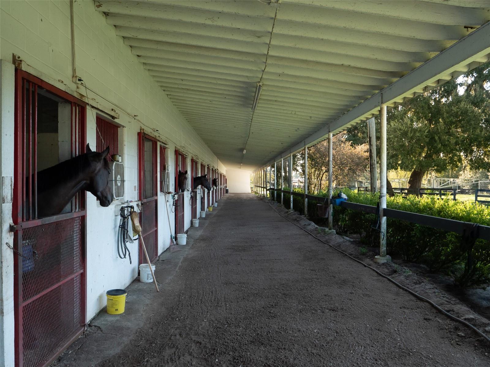 11196 NW HIGHWAY 464B, OCALA, FL, 34482