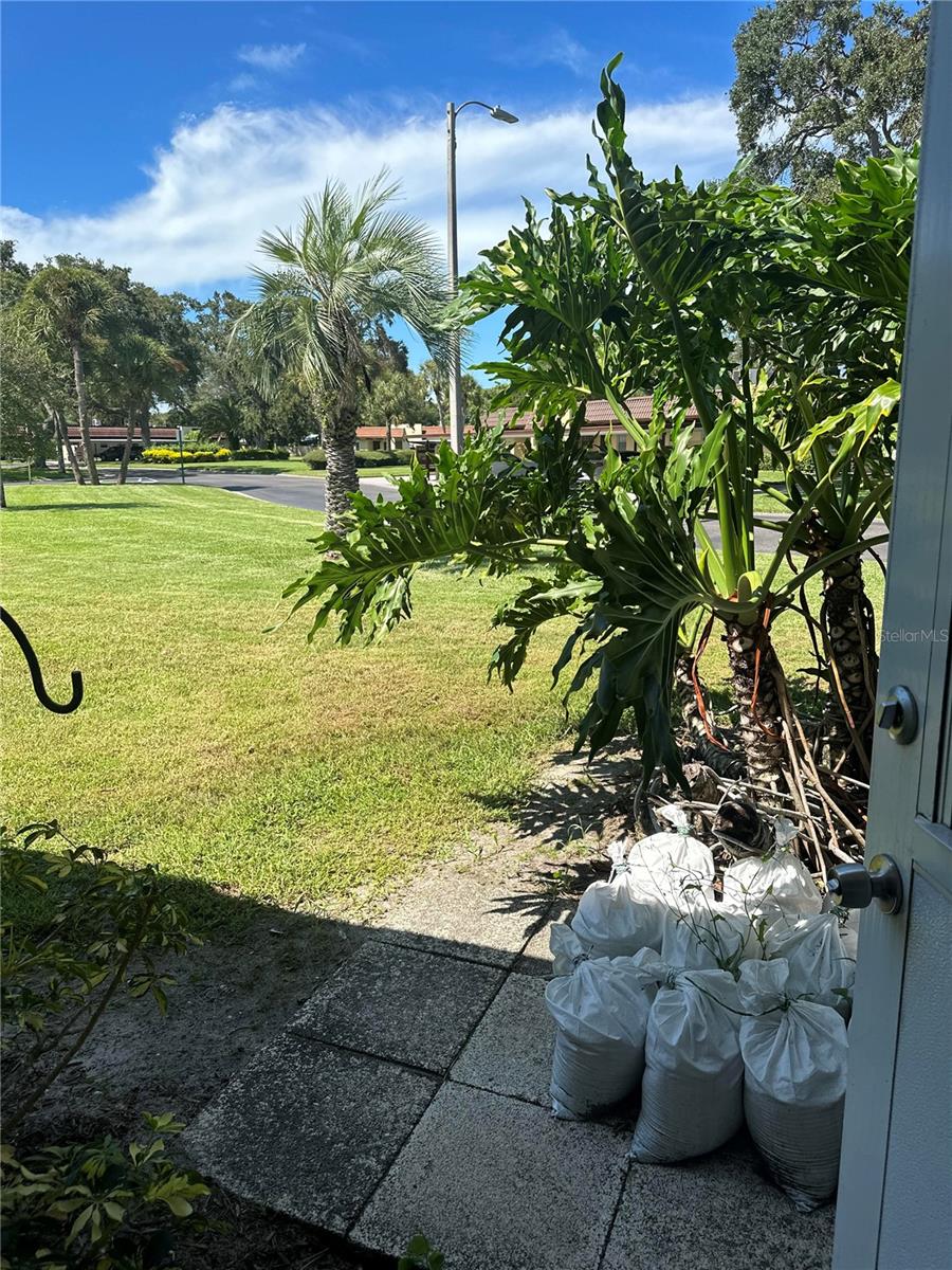 1701 PINEHURST RD #8D, DUNEDIN, FL, 34698