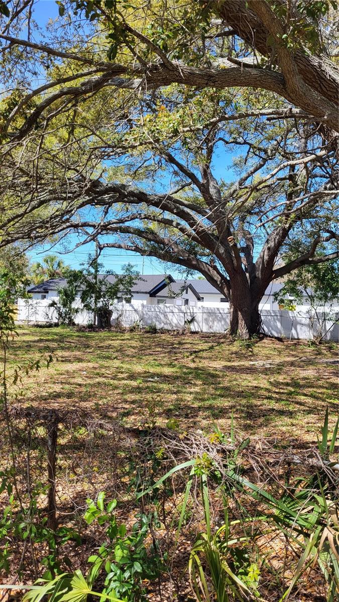 31ST ST S, ST PETERSBURG, FL, 33712