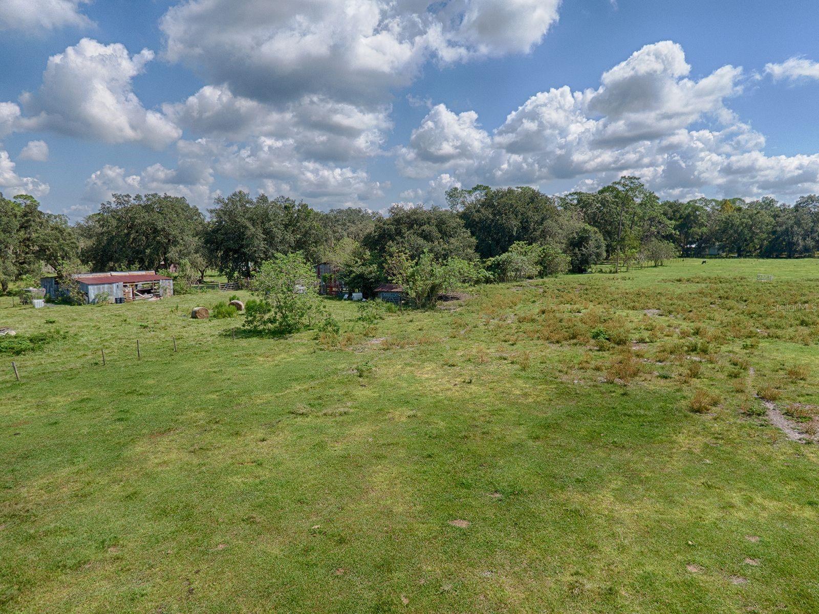 CR 619, BUSHNELL, FL, 33513