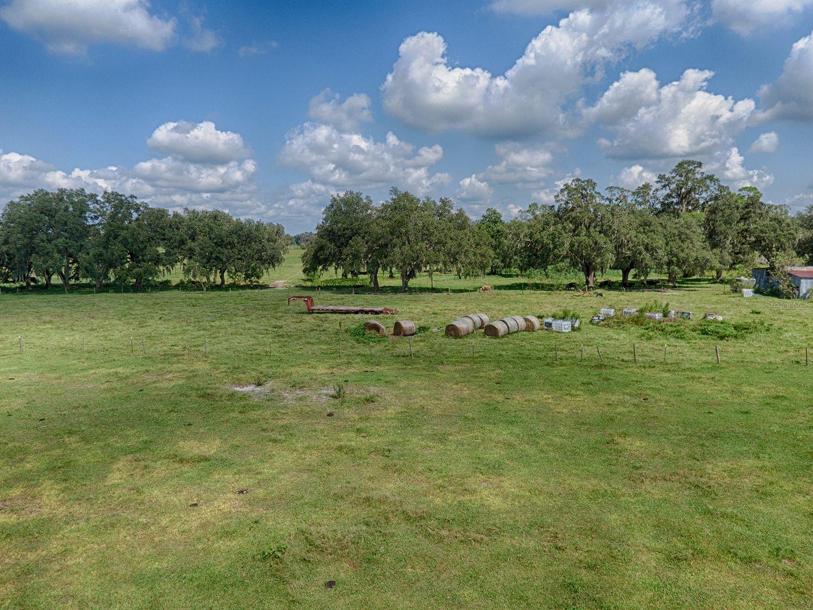 CR 619, BUSHNELL, FL, 33513