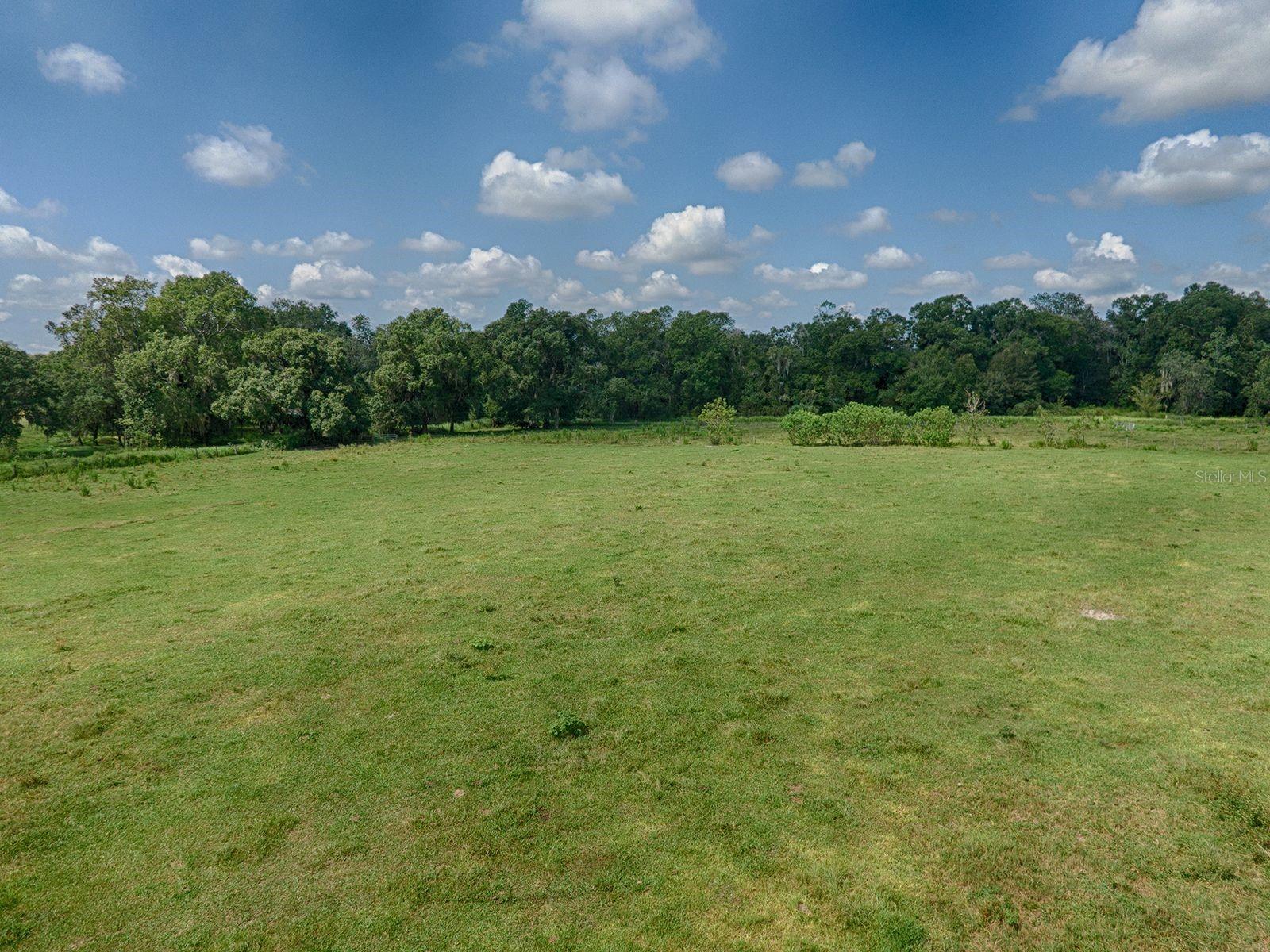 CR 619, BUSHNELL, FL, 33513