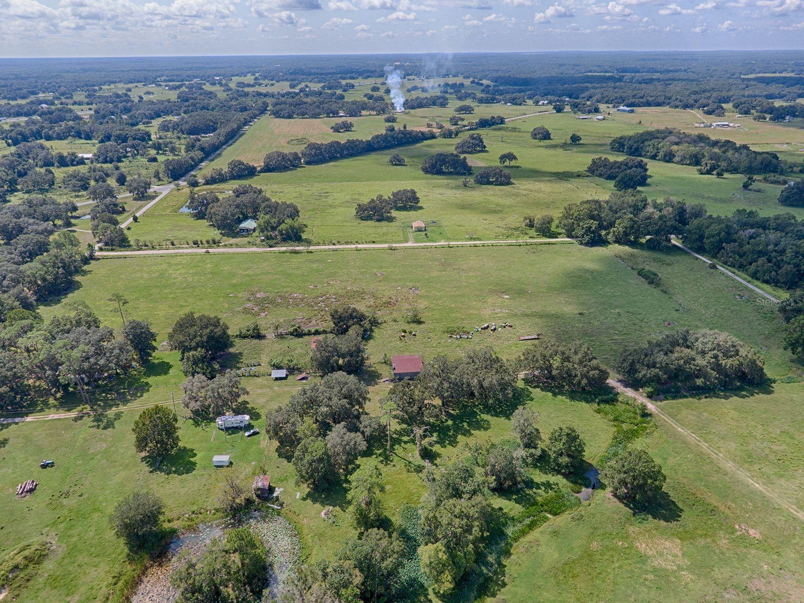 CR 619, BUSHNELL, FL, 33513