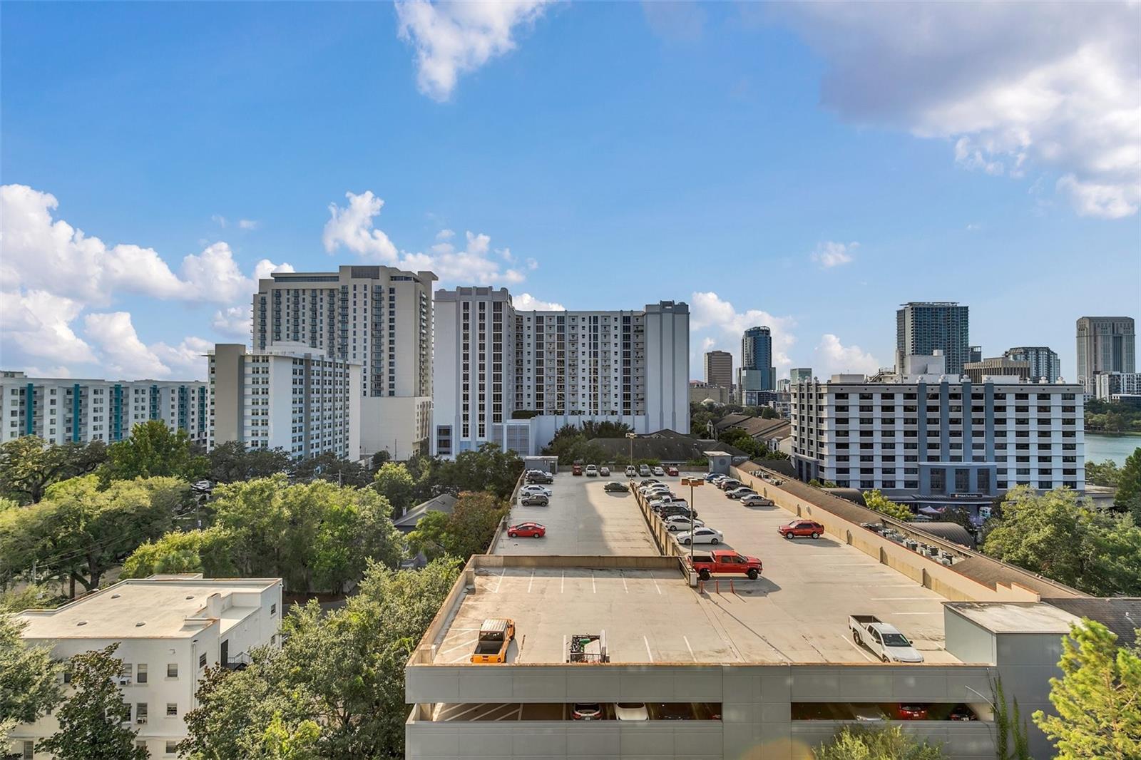 530 E CENTRAL BLVD #1002, ORLANDO, FL, 32801
