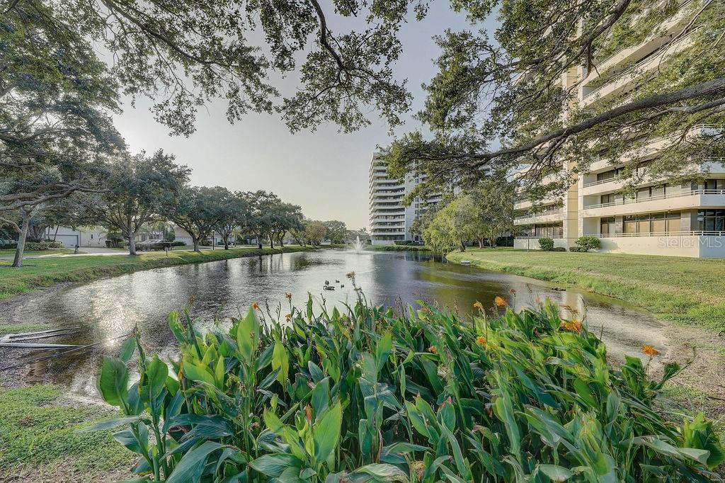 5940 PELICAN BAY PLZ S #1102, GULFPORT, FL, 33707