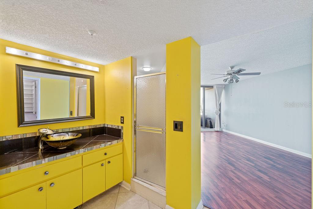 5940 PELICAN BAY PLZ S #1102, GULFPORT, FL, 33707