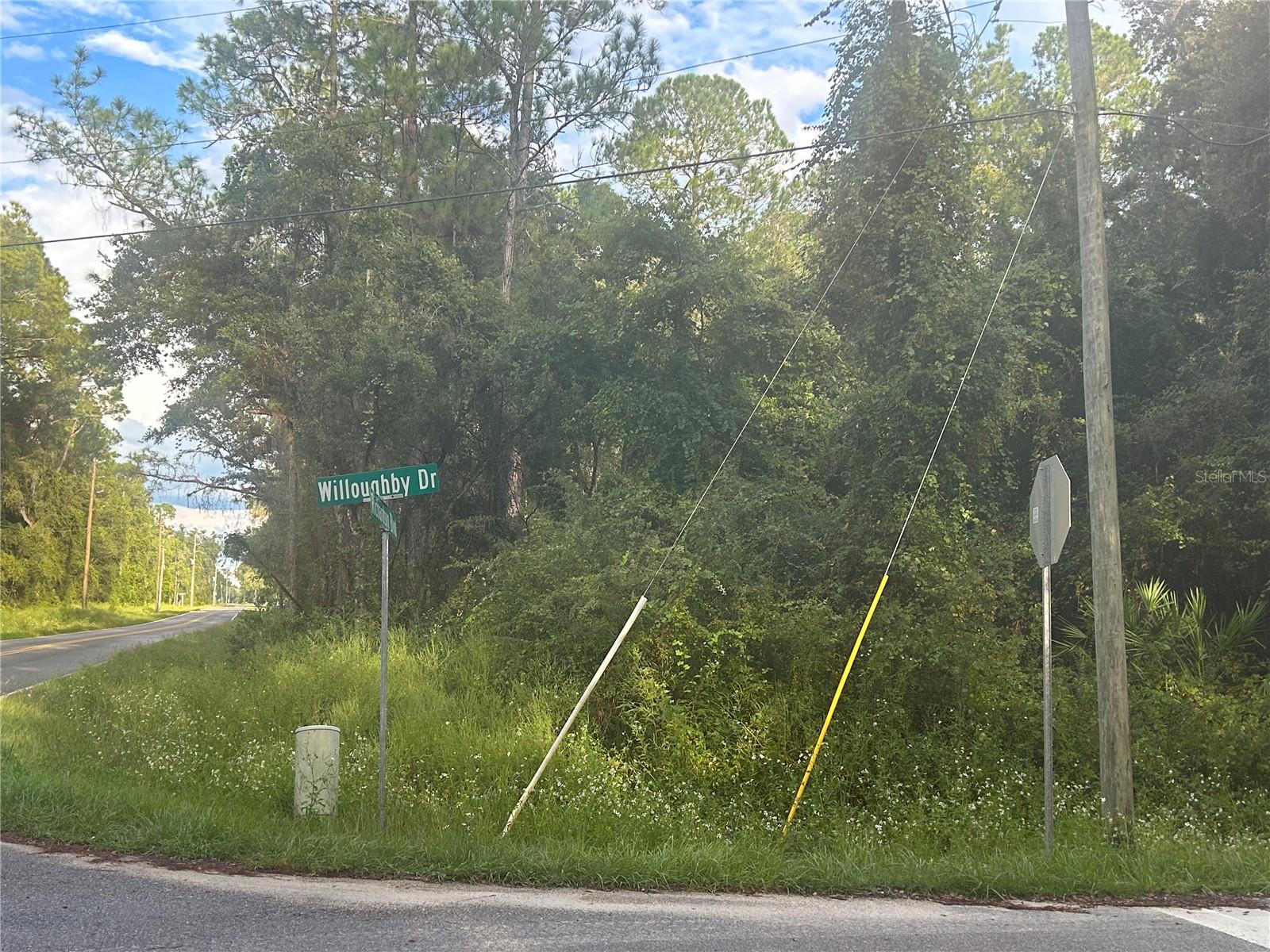 7374 WILLOUGHBY DR, WEBSTER, FL, 33597