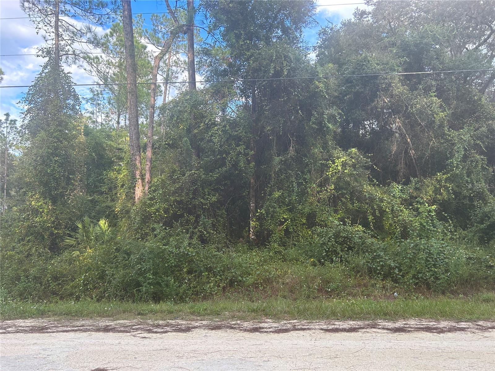 7374 WILLOUGHBY DR, WEBSTER, FL, 33597