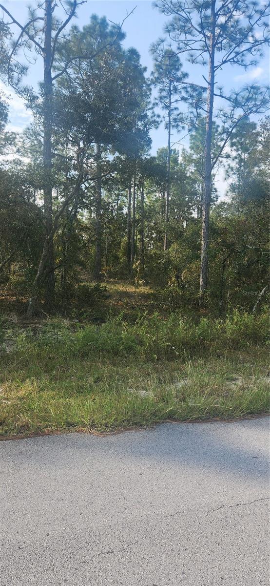00 SW EDGEWATER BLVD, DUNNELLON, FL, 34431