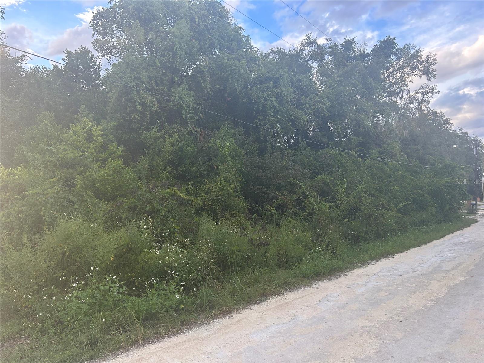 6175 FAIRWAY DR, RIDGE MANOR, FL, 33523