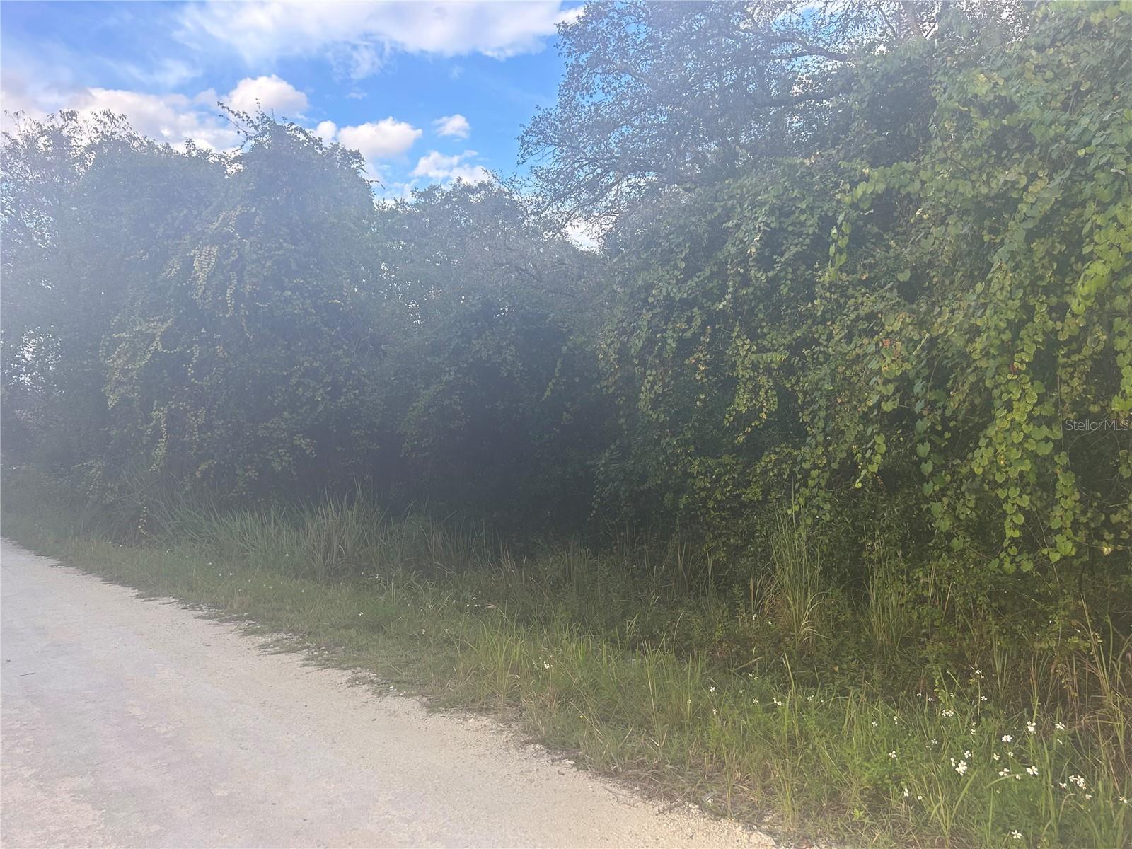 6178 FAIRWAY DR #94, RIDGE MANOR, FL, 33523