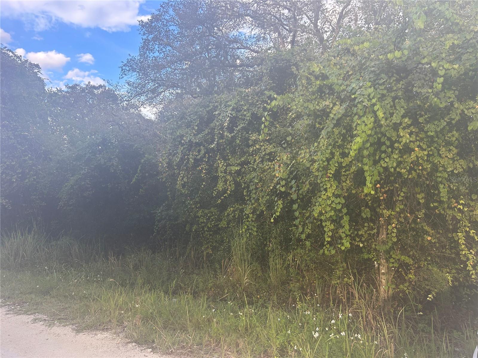 6178 FAIRWAY DR #94, RIDGE MANOR, FL, 33523